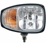Order Headlight Assembly by HELLA - 996174261 For Your Vehicle