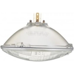 Order Headlight by PHILIPS - H6024C1 For Your Vehicle