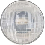 Order Headlight by PHILIPS - H6024CVC1 For Your Vehicle
