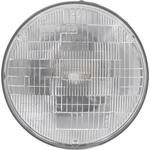 Order Headlight by PHILIPS - H6024LLC1 For Your Vehicle