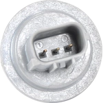 Order ACDELCO - 95291965 - Headlight Socket For Your Vehicle