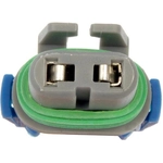 Purchase DORMAN/CONDUCT-TITE - 85813 - Headlight Socket