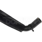 Order Heater Hose Assembly by DORMAN (OE SOLUTIONS) - 626-647 For Your Vehicle