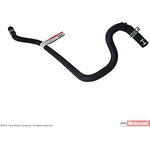 Order Heater Hose Assembly by MOTORCRAFT - KH81 For Your Vehicle