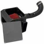 Order Kit d'admission de filtre à air haute performance de AEM INDUCTION - 21-8030DC For Your Vehicle