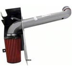 Order High Performance Air Filter Intake Kit by AEM INDUCTION - 21-8212DC For Your Vehicle