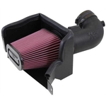 Order Kit d'admission de filtre à air haute performance de K & N ENGINEERING - 573081 For Your Vehicle