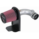 Order High Performance Air Filter Intake Kit by K & N ENGINEERING - 69-0017TS For Your Vehicle