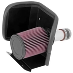 Purchase High Performance Air Filter Intake Kit by K & N ENGINEERING - 69-2548TS