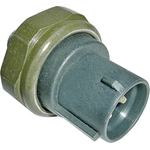 Order High Pressure Cut-Out Switch by GLOBAL PARTS DISTRIBUTORS - 1711455 For Your Vehicle
