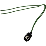 Order MOTORCRAFT - WPT1051 - Hood Ajar Indicator Switch Connector For Your Vehicle