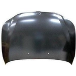 Order Hood - BM1230116 For Your Vehicle