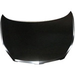 Order Hood - GM1230384 For Your Vehicle