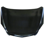 Order Hood - GM1230394 For Your Vehicle