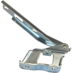 Order Hood Hinge Assembly - AU1236100 For Your Vehicle