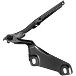 Order Hood Hinge Assembly - AU1236108 For Your Vehicle