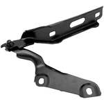 Order Hood Hinge Assembly - AU1236109 For Your Vehicle