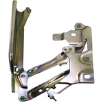Order Hood Hinge Assembly - AU1236114 For Your Vehicle