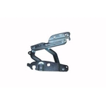 Order Hood Hinge Assembly - FO1236150 For Your Vehicle