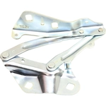 Order Hood Hinge Assembly - FO1236161 For Your Vehicle