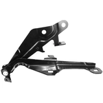 Order Hood Hinge Assembly - FO1236167 For Your Vehicle
