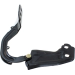 Order Hood Hinge Assembly - FO1236175 For Your Vehicle