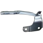 Order Hood Hinge Assembly - FO1236190 For Your Vehicle