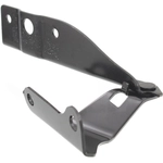 Order Hood Hinge Assembly - HO1236135 For Your Vehicle