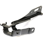 Order Hood Hinge Assembly - HO1236144 For Your Vehicle
