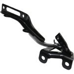 Order Hood Hinge Assembly - HO1236147 For Your Vehicle