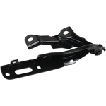 Order Hood Hinge Assembly - HO1236159 For Your Vehicle