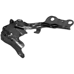 Order Hood Hinge Assembly - HY1236120 For Your Vehicle