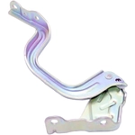 Order Hood Hinge Assembly - KI1236181 For Your Vehicle