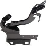 Order Hood Hinge Assembly - LX1236140 For Your Vehicle
