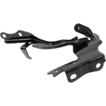 Order Hood Hinge Assembly - LX1236141 For Your Vehicle