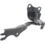 Order Hood Hinge Assembly - MA1236121 For Your Vehicle