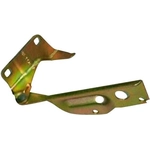 Order Hood Hinge Assembly - NI1236126 For Your Vehicle