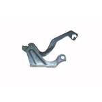 Order Hood Hinge Assembly - NI1236143 For Your Vehicle