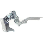 Order Hood Hinge Assembly - NI1236152 For Your Vehicle