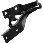 Order Hood Hinge Assembly - NI1236181 For Your Vehicle