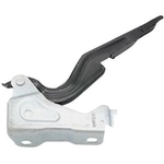 Order Hood Hinge Assembly by SHERMAN PARTS - 033B-42R For Your Vehicle