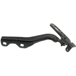 Order Hood Hinge Assembly by SHERMAN PARTS - 190A-42R For Your Vehicle