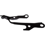 Order Hood Hinge Assembly by SHERMAN PARTS - 8151-42-1 For Your Vehicle