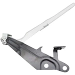 Order Hood Hinge Assembly by SHERMAN PARTS - FOMUST18-42R For Your Vehicle