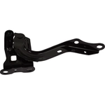 Order Hood Hinge Assembly by SHERMAN PARTS - TOCORO19-42-1 For Your Vehicle
