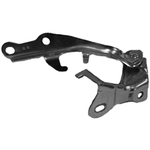 Order Hood Hinge Assembly - TO1236136 For Your Vehicle