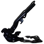 Order Various Manufacturers - TO1236151 - Hood Hinge Assembly For Your Vehicle