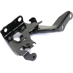 Order Hood Hinge Assembly - TO1236180 For Your Vehicle