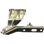 Order Hood Hinge Assembly - AU1236112 For Your Vehicle
