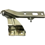 Order Hood Hinge Assembly - AU1236113 For Your Vehicle